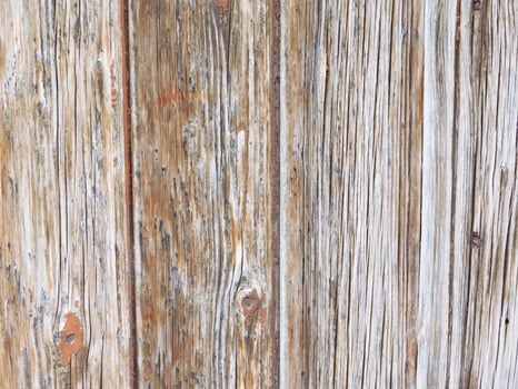 Wood Texture Outdoors In The Garden photo