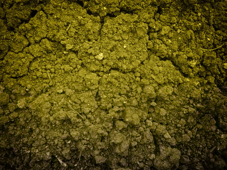 Outdoor ground texture photo