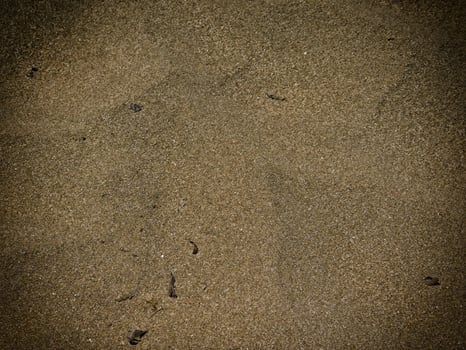 Texture Of Dark Sand At The Sea photo
