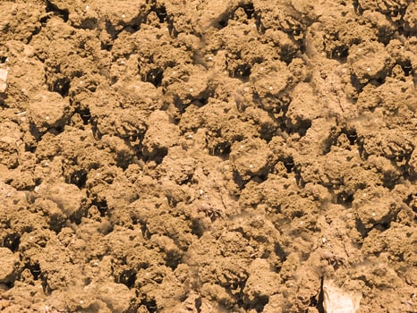 Ground texture outdoor photo