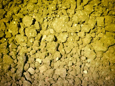 Ground texture outdoor photo
