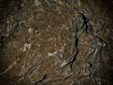 Dark Stone Texture In The Garden photo