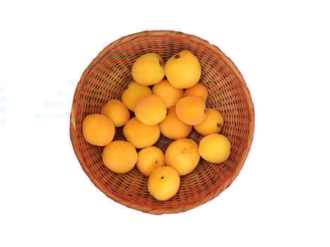 Apricots on white background photo
