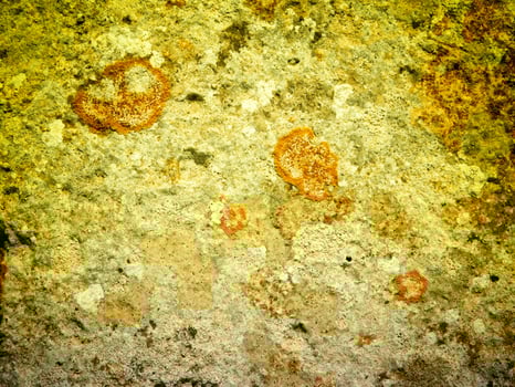 Texture Of Yellow Stone In The Garden photo