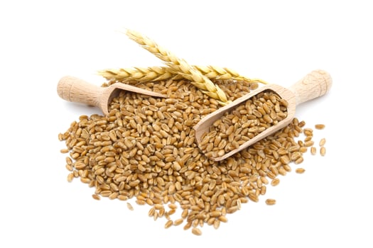 Wheat grain seeds spilling from two wooden scoops photo