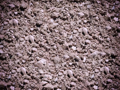 Dark Earth Texture In The Garden photo