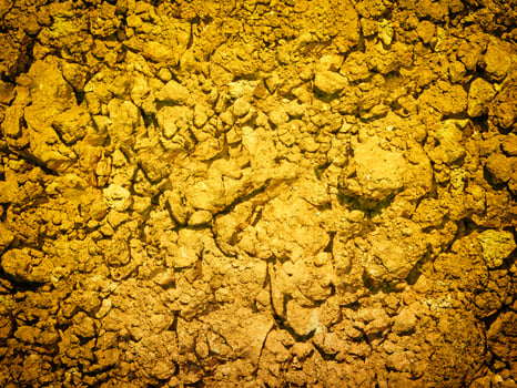 outdoor ground texture photo
