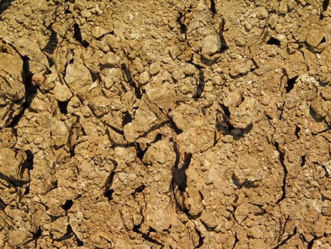 outdoor ground texture photo
