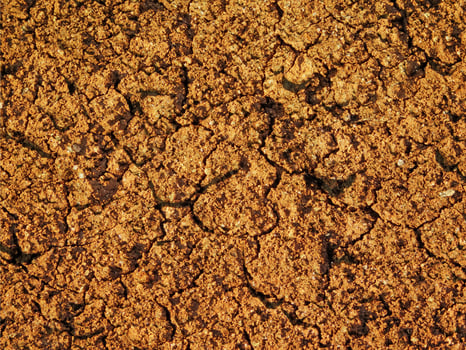 outdoor ground texture photo