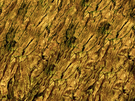 Dark Brown Wood Texture photo