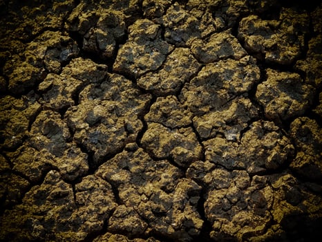 Dark Earth Texture In The Garden photo
