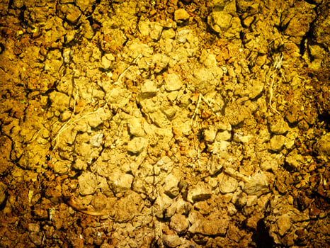 Ground Texture Outdoors In The Garden photo
