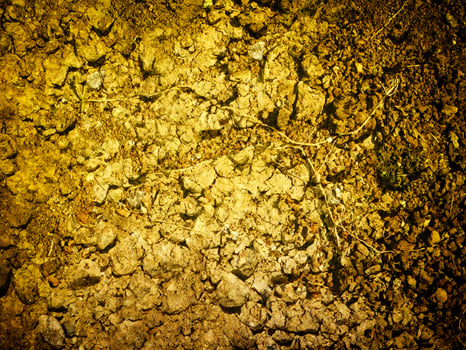 Ground Texture Outdoors In The Garden photo