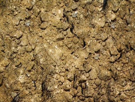 Ground Texture Outdoors In The Garden photo