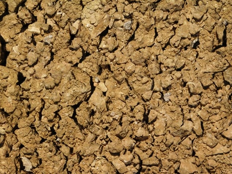 Ground Texture Outdoors In The Garden photo
