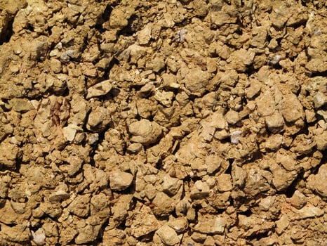 Ground Texture Outdoors In The Garden photo