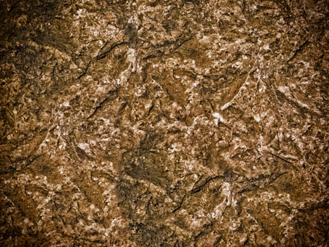 Dark Stone Texture In The Garden photo