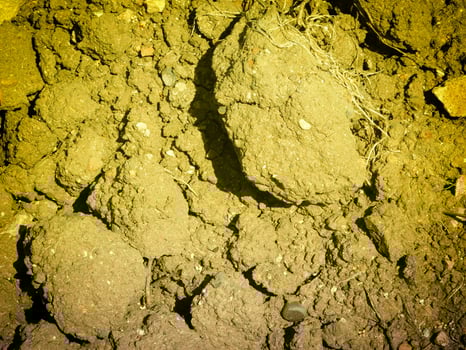 Ground texture outdoor photo