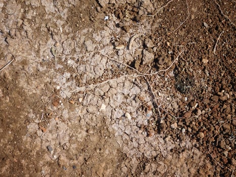 Arid land outdoor photo