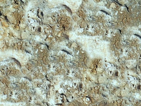 Outdoor stone texture photo