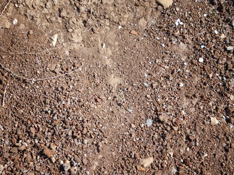 Ground texture outdoor photo