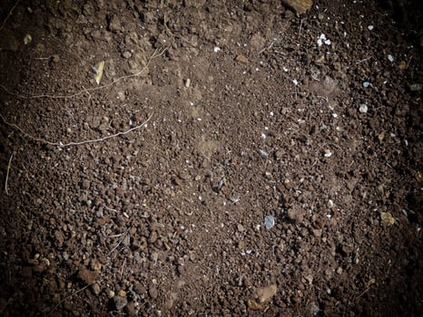 Dark Earth Texture In The Garden photo