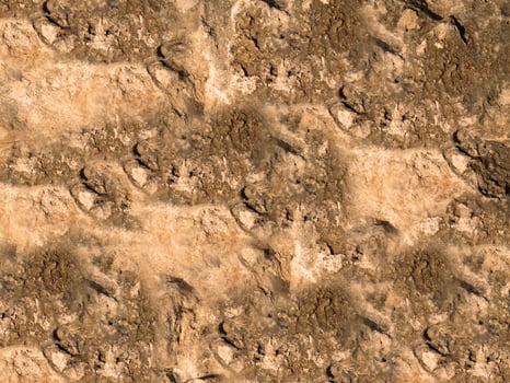 outdoor stone texture photo