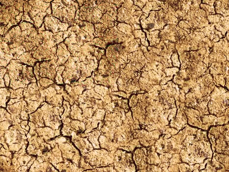 Arid land outdoor photo