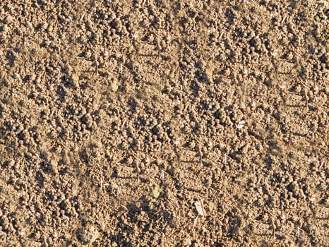 Stone Texture Outdoors In The Garden photo