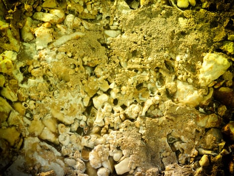 Texture Of Yellow Stone In The Garden photo