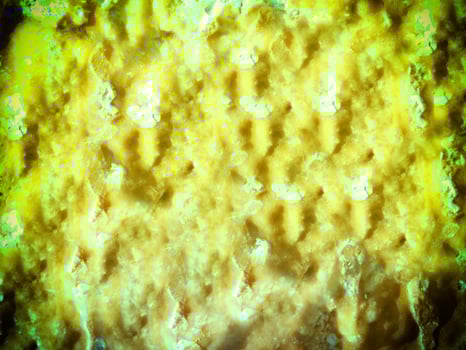 Texture Of Yellow Stone In The Garden photo
