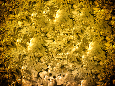 Texture Of Yellow Stone In The Garden photo