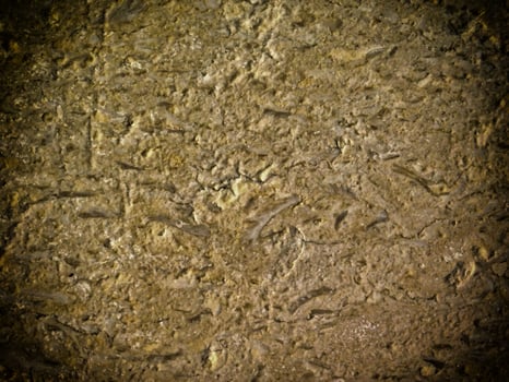 Dark Marble Texture In The Garden photo