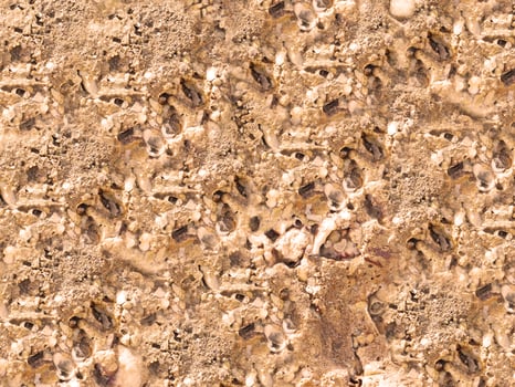 Stone texture outdoor photo