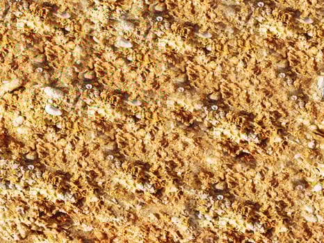 Stone Texture Outdoors In The Garden photo