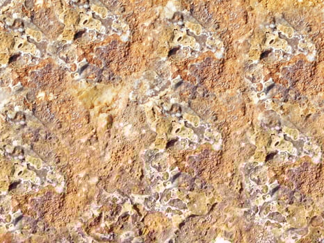 Stone Texture Outdoors In The Garden photo