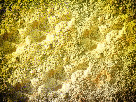 Texture Of Yellow Stone In The Garden photo