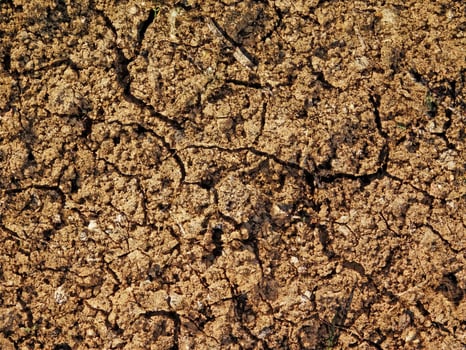 dry ground texture outdoors photo