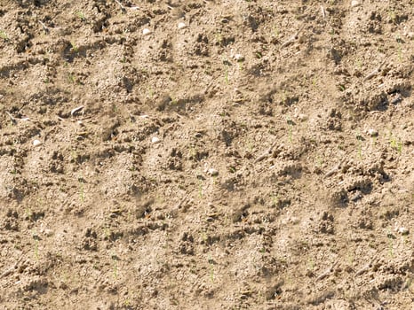 Ground texture outdoor photo