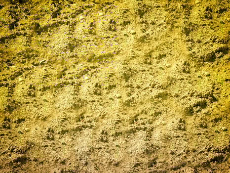Ground texture outdoor photo