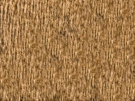 Brown Wood Texture photo