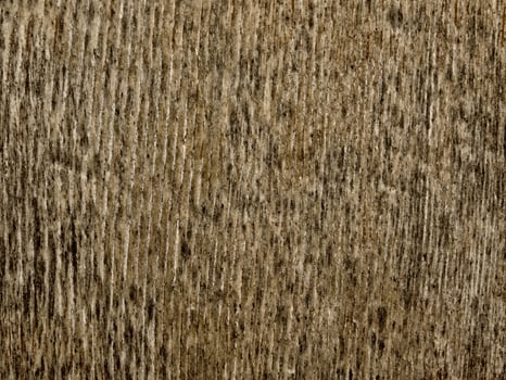 Brown Wood Texture photo