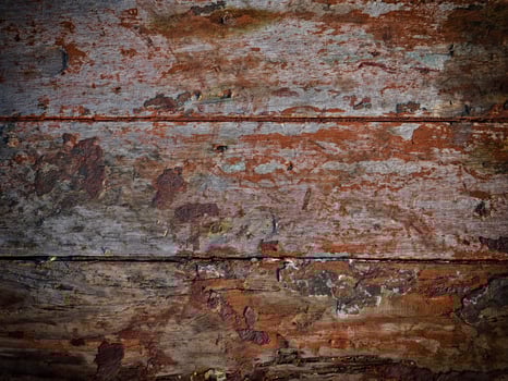 Dark Wood Texture In The Garden photo