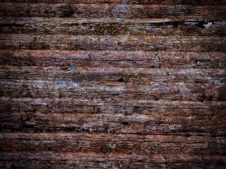 Dark Wood Texture In The Garden photo