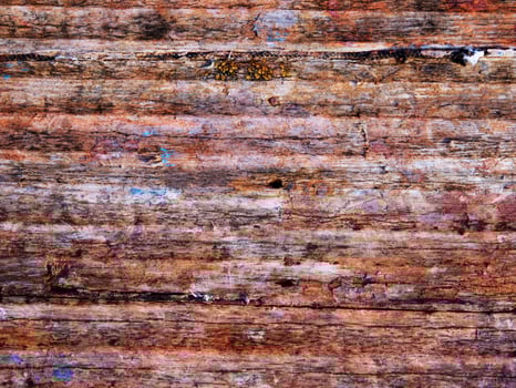 Wood Texture Outdoors In The Garden photo