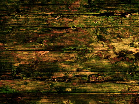 Dark Brown Wood Texture photo