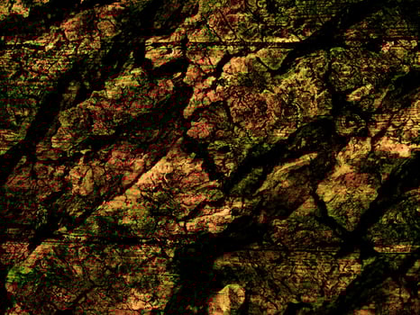 Dark Brown Wood Texture photo