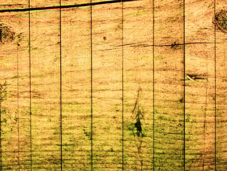 Dark Brown Wood Texture photo