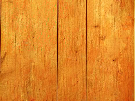 Red Wood Texture photo