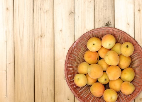 Apricots in the kitchen photo